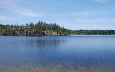 FOCI Lake Research Contract Opportunity