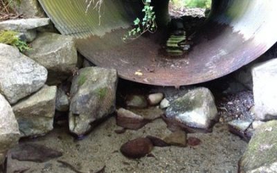 Culvert Works and Salmon Creeks!