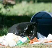 Wildlife and Garbage Care