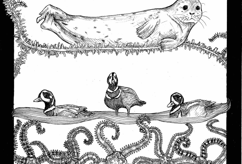 Marine Stewardship Overview