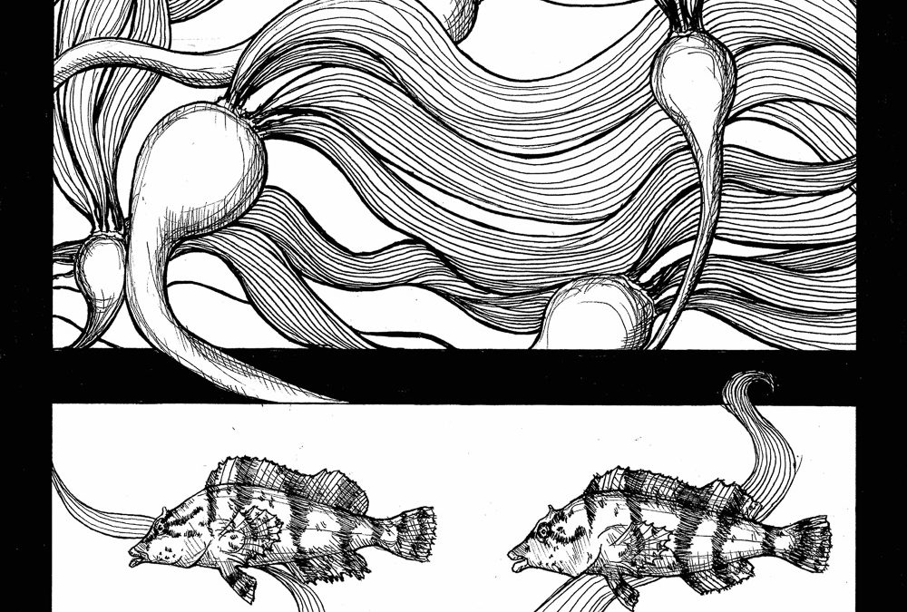 Subtidal Biodiversity