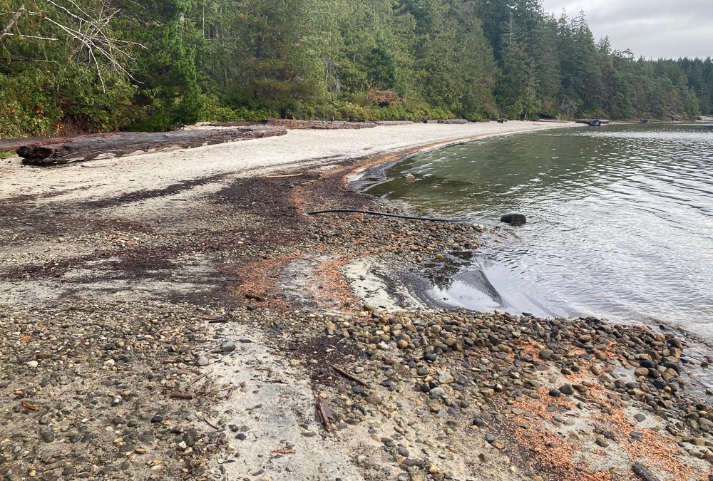 FOCI Report: Climate Change and Drought